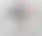 奥克兰市议会投票通过,非罪化使用神奇蘑菇