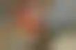 2024年选举季的邮件风暴：传单的归宿