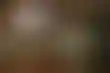 在线德州扑克能赚钱吗:旧金山BART诉讼:乘客安全问题引关注