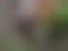 熊猫外交:旧金山动物园的熊猫计划面临挑战