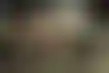 真人德州扑克在线玩:Point Reyes协议风波:牧场主与环保人士联盟吁维护交易
