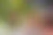 德州扑克练习:瓦列霍抗议：蒙特罗萨之死引发的愤怒与对警察部门的质疑