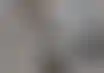 南加州大学就妇科医生性侵指控达成和解