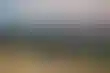 德州扑克高端局:弗里蒙特市议员珍妮·卡森辞职，支持丈夫竞选市长