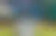 تهديدات بالقتل لمدرب سيراليون قبل كأس الأمم الأفريقية