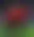 مصر تبلغ نهائي كأس العرب للشباب بفوز مثير على الجزائر