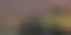 Entain携手F1：打造独特客户体验