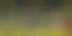 Sportradar与瑞典博彩监察局合作打击操纵比赛