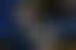 تذبذب مؤشرات الأسهم الأمريكية- مخاوف الإغلاق تضغط على داو جونز وستاندرد آند بورز، وتكنولوجيا تدعم ناسداك.