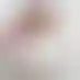 السياحة الداخلية- ملاذ آمن من قلق السفر العالمي