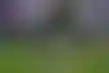 ميسي إلى الهلال السعودي- حلم العودة للبرشا يتبخر