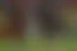 مانشستر سيتي بطلاً للدوري الإنجليزي الممتاز للمرة الثالثة على التوالي
