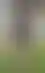 عودة كورونادو لصفوف الاتحاد لمواجهة الشباب و غياب حمدالله