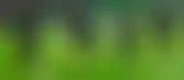 الهلال يعتذر عن السوبر السعودي- الأهلي بديل محتمل