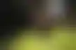 نهيمار يعلن- كأس العالم 2026 فرصتي الأخيرة مع البرازيل