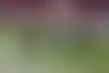 توقعات الأمطار تهدد تأهل أمريكا في كأس العالم T20