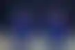 الهند تواجه أيرلندا في كأس العالم T20- نظرة أولية ومعلومات أساسية