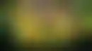 قصة صعود سارجنت- من الشك إلى التألق في الدوري الإنجليزي