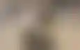 شغف صيني يحضر نهائي آسيا بجدة رغم بعد المسافة