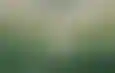 الاتحاد يكشف عن طقمه الاحتياطي المستوحى من هوية جدة