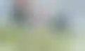 حصاد البطيخ العسلي- مزارعو جاوتاي يزودون بكين بالإنتاج الوفير