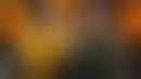 مواجهة حاسمة- لوس أنجلوس ضد أمريكا على بطاقة كأس العالم للأندية FIFA