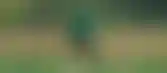 الأخضر الأولمبي السعودي يستعد لدورة أوزبكستان بمناورة مصغرة