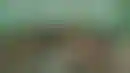 نيوكاسل يعود لدوري الأبطال- قفزة مالية وتجارية تحت الإدارة السعودية