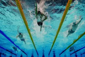 فوز الجوادي ببطولة العالم للسباحة 800 متر بأسلوب حر مذهل