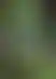 CIA特工与老妇人的闹剧:鳄鱼镇间谍系列最新作