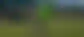 الاتحاد يبيع حقوق فيلمه الوثائقي لـ STC TV- سرد ملحمي لإنجازات الموسم