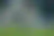 الفيحاء يقلب الطاولة ويتأهل وثلاثي الوطن يرافقه لدور الـ١٦ الآسيوي