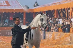 جولة الأبطال العرب العالمية تصل هولندا بإثارة وشغف