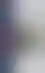 《秘密花园》:英语阅读阶梯系列解析