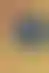 帕特里夏·海史密斯短篇小说集:人生百态与深层恐惧