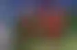بايرن ميونيخ يسحق أوكلاند سيتي بعشرة أهداف في كأس العالم للأندية