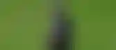 نيوم يبدأ معسكره الإعدادي في إسبانيا بـ 21 لاعبًا استعدادًا لدوري روشن