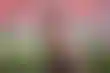 ريال مدريد يتواصل مع ألونسو لخلافة أنشيلوتي الموسم القادم