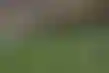 الهلال يجبر ريال مدريد على التعادل بفضل تألق بونو والدوسري