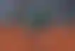 صينر يتصدر تصنيف ATP رغم خسارة رولان غاروس، دريبر في أفضل ترتيب