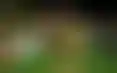 عودة الشهري تعزز استعدادات الاتحاد للاحتفالات والنهائي