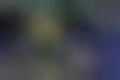 عاصفة سياتل ضد سباركس- ديجينز تتألق، وعودة واعدة لبرينك