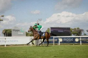 HM الشحين يفوز بكأس رئيس الدولة للخيول العربية في روما