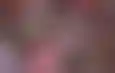 ويسا يرفض الدوري السعودي ويطمح لدوري أبطال أوروبا مع نيوكاسل