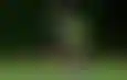 الاتحاد يختتم استعداداته النارية لموقعة النصر في كأس السوبر تحت الأمطار