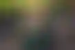 سيطرة مينيسوتا لينكس- فوز ساحق وتألق كولير