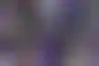 عودة شاكيل غريفين إلى سياتل سي هوكس بصفقة جديدة