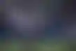 إصابة خطيرة تهدد مسيرة لاعب سياتل ماكنتوش