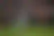 أيه جاي كول- الأعلى أجراً في تاريخ NFL كلاعب ضربات خلفية