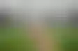 德州扑克能赢钱:超级碗体育博彩创纪录：老鹰队夺冠，博彩业大丰收